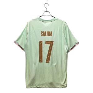 フランス代表 (フランスダイヒョウ) サッカーユニフォーム 2026年アウェイ 2026年北中米W杯着用デザイン オーセンティック SIZE XL ライトグリーン