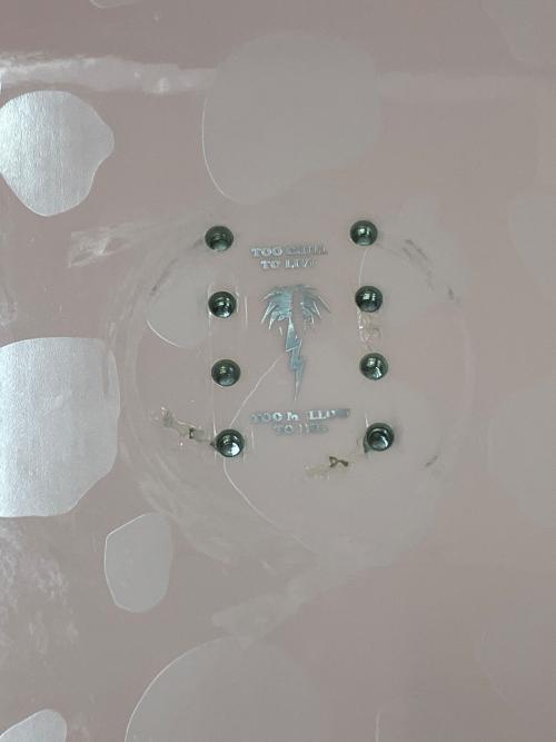 CAPITA (キャピタ) SPRING BREAK SLASH SLUSHER スノーボード パウダー 18-19 ユニセックス 143cm ピンク