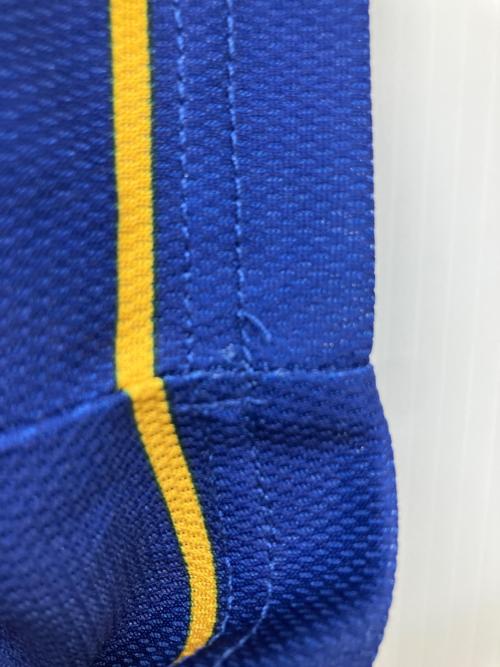 中日ドラゴンズ (チュウニチドラゴンズ) 応援グッズ SIZE Free