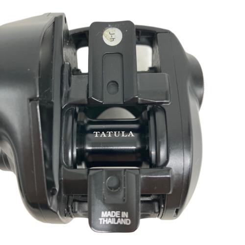 DAIWA (ダイワ) 23タトゥーラ TW 100L ベイトリール リール