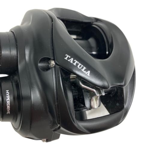 DAIWA (ダイワ) 23タトゥーラ TW 100L ベイトリール リール