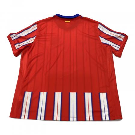 NIKE (ナイキ) サッカーユニフォーム FN8790-406 24/25 ホーム