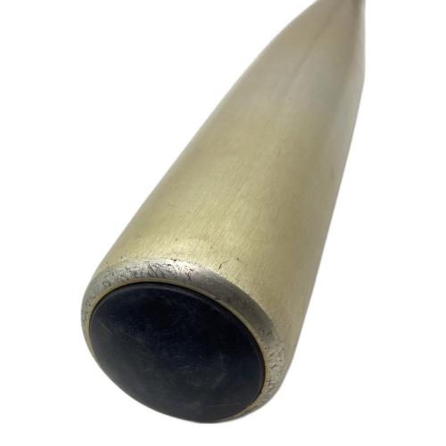 SSK (エスエスケー) スカイビート31K 硬式バット SBB1007 84cm ゴールド