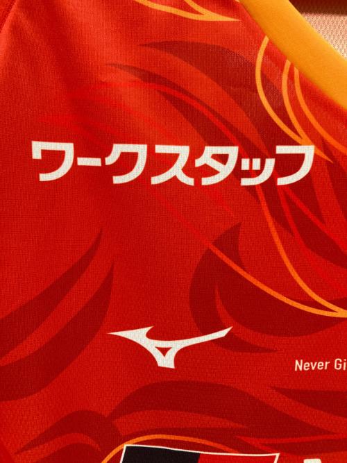 名古屋グランパス (ナゴヤグランパス) サッカーユニフォーム P2JACY2001 2025 ホーム オーセンティック メンズ SIZE 3XL レッド