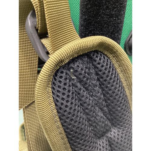 BRIEFING (ブリーフィング) キャディバッグ ラゾーナ川崎オープン記念限定 5分割 グリーン CR-4
