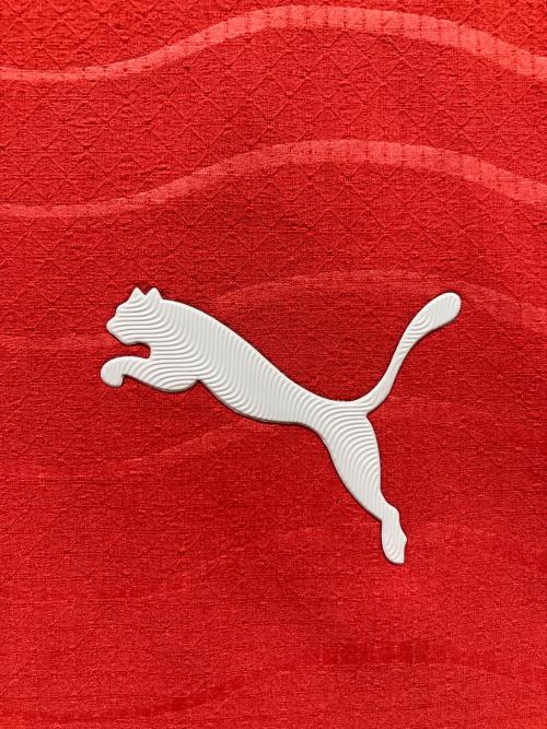 ポルトガル代表 (ポルトガルダイヒョウ) サッカーユニフォーム 783276 2026 ホーム オーセンティック メンズ SIZE L レッド
