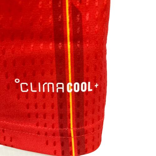 スペイン代表 (スペインダイヒョウ) サッカーユニフォーム JN4366 メンズ SIZE XL レッド