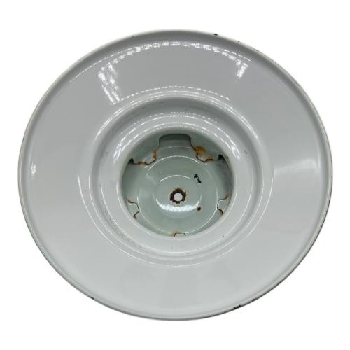 Coleman (コールマン) ビッグハット ガソリンランタン 228F PYREXグローブ グリーン ヴィンテージ