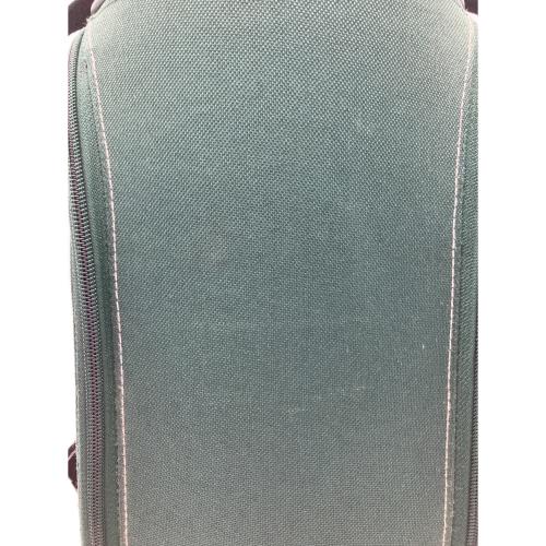 Coleman (コールマン) 収納ケース グリーン 廃盤品 ノーススター用ランタンケース