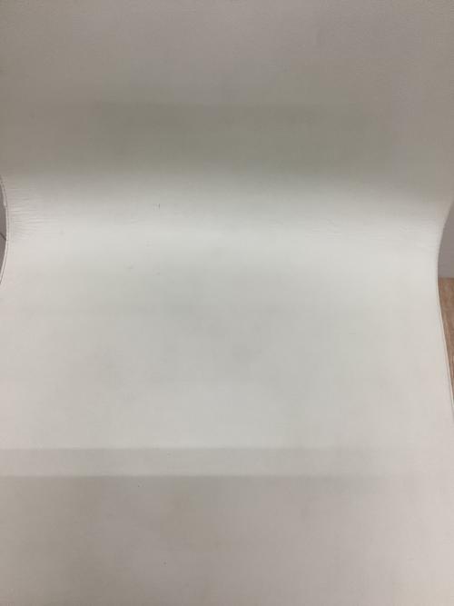 IKEA (イケア) ダイニングチェアー ホワイト レザー BERNHARD