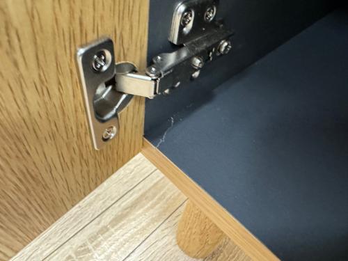 ISSEIKI キャビネット ナチュラル 2枚扉 BASIC PLUS-11