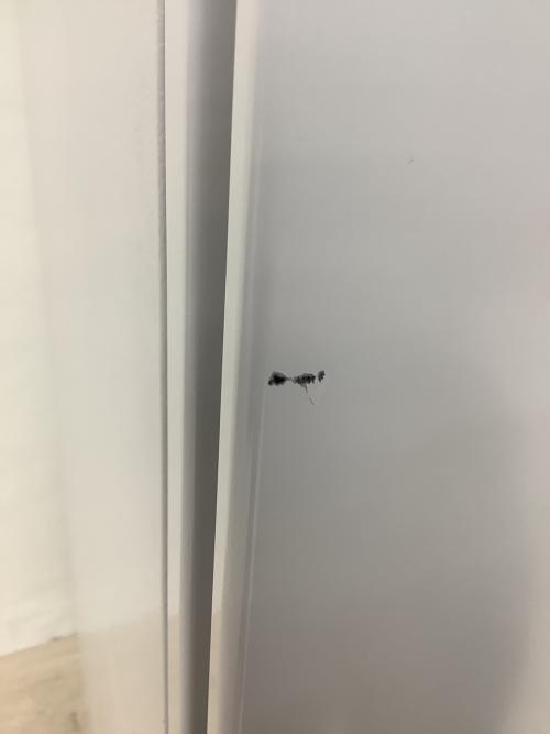 MITSUBISHI (ミツビシ) 3ドア冷蔵庫 MR-CX37K 2024年製 365L