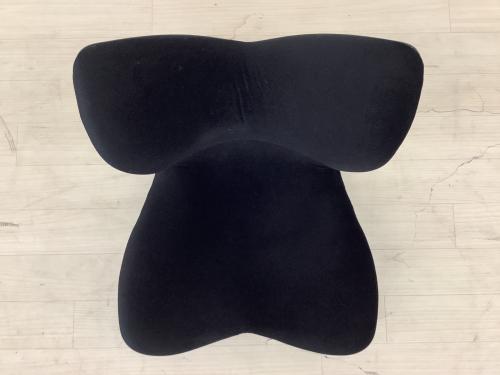 STYLE (スタイル) 骨盤サポートチェア スタイルプレミアム ブラック PREMIUM DX