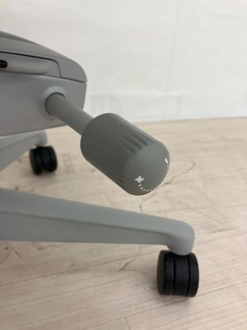 Herman Miller (ハーマンミラー) アーロンチェア AER1B23DW ALPVPRSNADVPBBDVP23101 ポスチャーフィットフル装備 ライトグレー リマスタードモデル