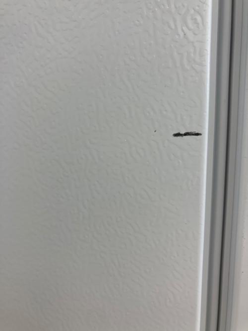 IRIS OHYAMA 1ドア冷蔵庫 IRSN-8A-W 2024年製