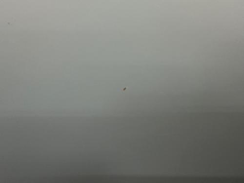 HAY (ヘイ) サイドテーブル ネイビー SLIT TABLE ROUND