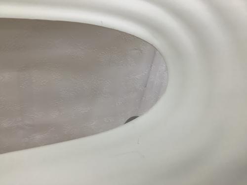 トムバックチェア リプロダクト品 ホワイト