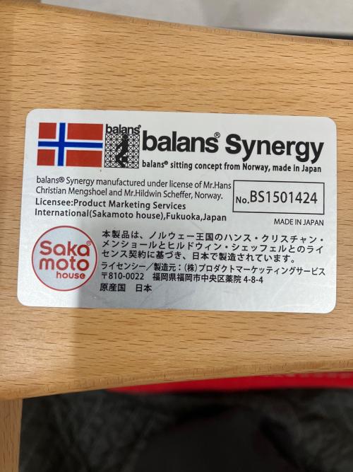 balans lab (Sakamoto house) バランスチェアー 150BS balans Synergy Square Seat