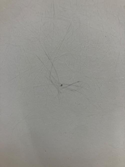 Herman Miller (ハーマンミラー)スクールベースサイドシェルチェア