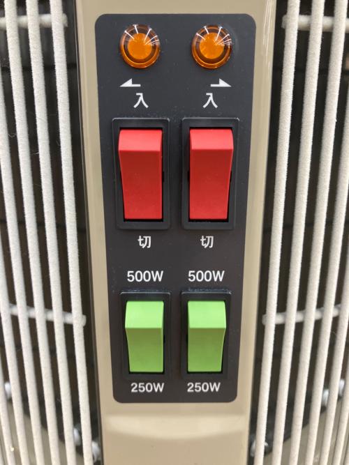 RCS (アールシーエス) パネルヒーター DAN1000-R16 2025年製