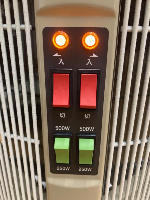 RCS (アールシーエス) パネルヒーター DAN1000-R16 2025年製