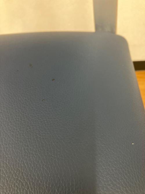 ACME Furniture (アクメファニチャー) ダイニングチェアー SHORELINE SIDE CHAIR