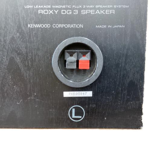 KENWOOD (ケンウッド) ペアスピーカー ROXY DG3 動作確認済み