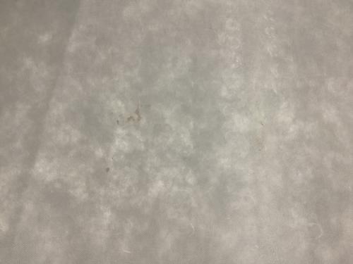 IKEA (イケア) 2人掛けソファー 501.606.23  KARLSTAD