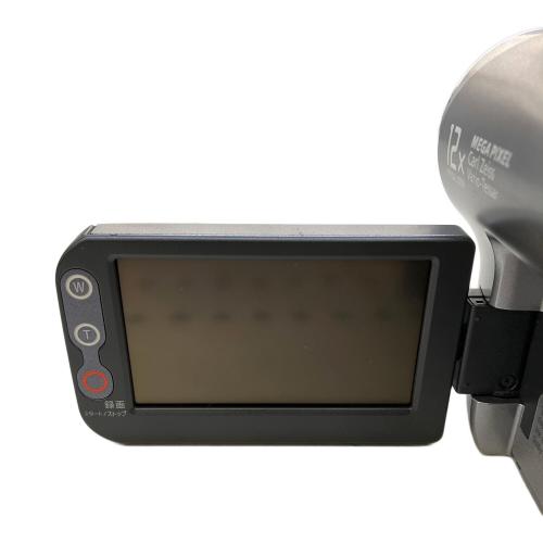 SONY (ソニー) DVDビデオカメラ DCR-DVD203 2005年製