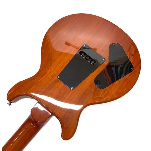 PRS (Paul Reed Smith) (ポール・リード・スミス) エレキギター SE