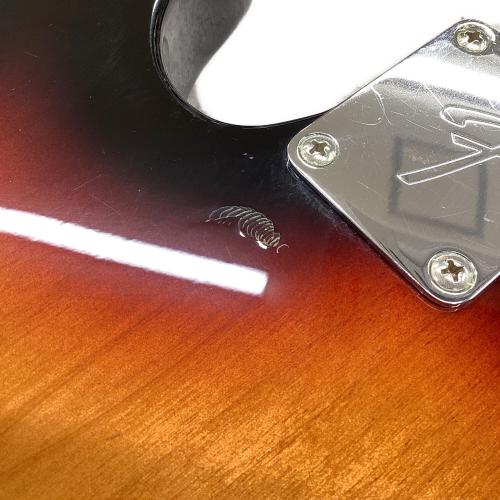 FENDER MEXICO (フェンダーメキシコ)Player Telecaster 2018年製