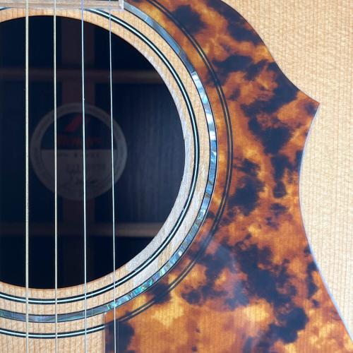 MORRIS (モーリス) エレアコギター W-101 オール単板