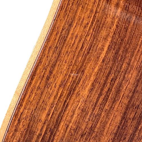 MORRIS (モーリス) エレアコギター W-101 オール単板