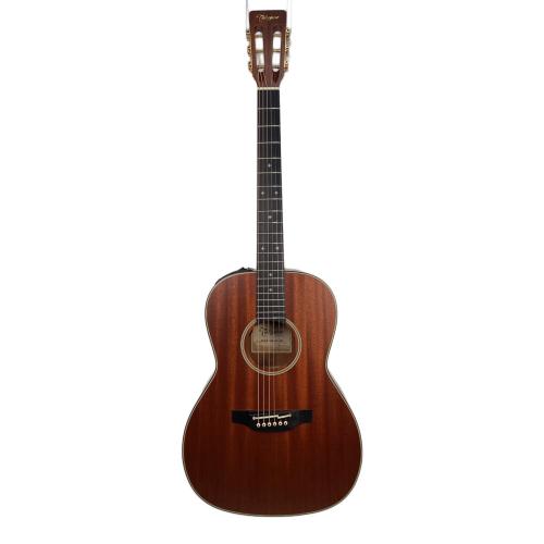 Takamine (タカミネ) エレアコギター DMP471M-DC 日本製 54090568