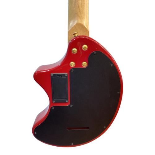 FERNANDES (フェルナンデス) アンプ内蔵エレキギター ZO-3 芸達者 Limited Edition