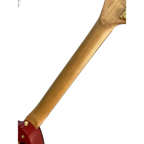 FERNANDES (フェルナンデス) アンプ内蔵エレキギター ZO-3 芸達者 Limited Edition