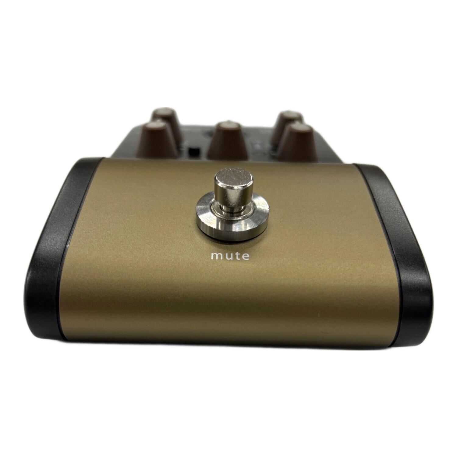 LR.Baggs(エルアールバッグス) session acoustic DI ケース付