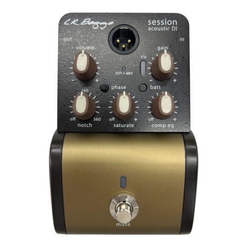 LR.Baggs(エルアールバッグス) session acoustic DI ケース付  動作確認済み