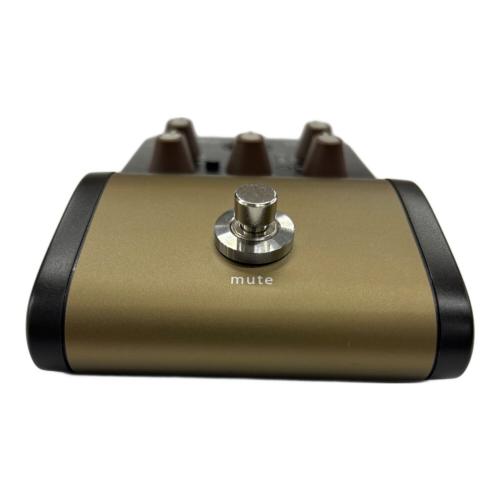 LR.Baggs(エルアールバッグス) session acoustic DI ケース付  動作確認済み