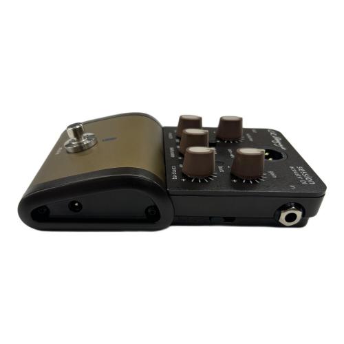 LR.Baggs(エルアールバッグス) session acoustic DI ケース付  動作確認済み