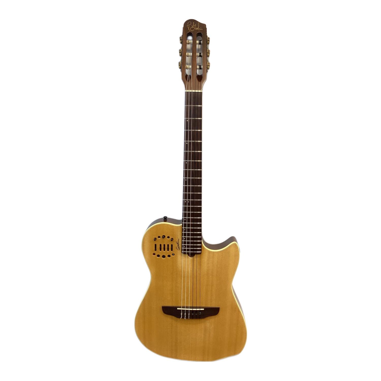 Godin (ゴダン) Multiac Nylon Duet エレガットギター ERG90VRG13 NT