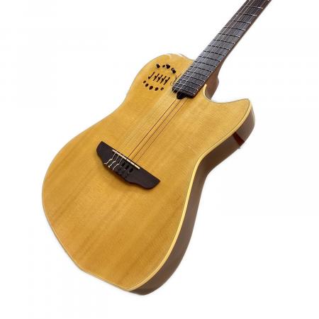 Godin (ゴダン) Multiac Nylon Duet エレガットギター ERG90VRG13 NT