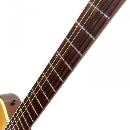 Godin (ゴダン) Multiac Nylon Duet エレガットギター ERG90VRG13 NT