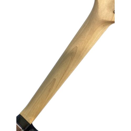 FUJIGEN (フジゲン) ストラトキャスタータイプ エレキギター JST6M 2016年製