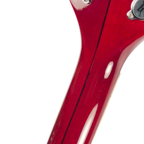 GRETSCH (グレッチ) TENNESSEE ROSE 6119 2001年製 Pre-Fender期