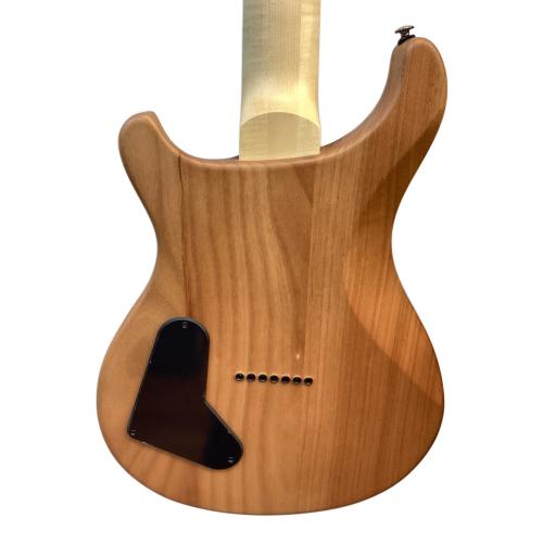 Paul Reed Smith (ポール リード スミス) Natural Satin エレキギター SE MARK HOLCOMB SVN 2022年製