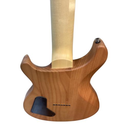 Paul Reed Smith (ポール リード スミス) Natural Satin エレキギター SE MARK HOLCOMB SVN 2022年製