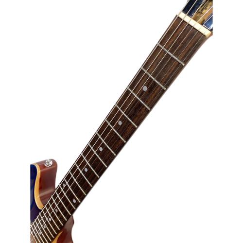 EDWARDS (エドワーズ) エレキギター POTBELLY E-PO-100