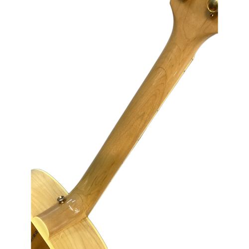 EPIPHONE (エピフォン) アコースティックギター EJ-200