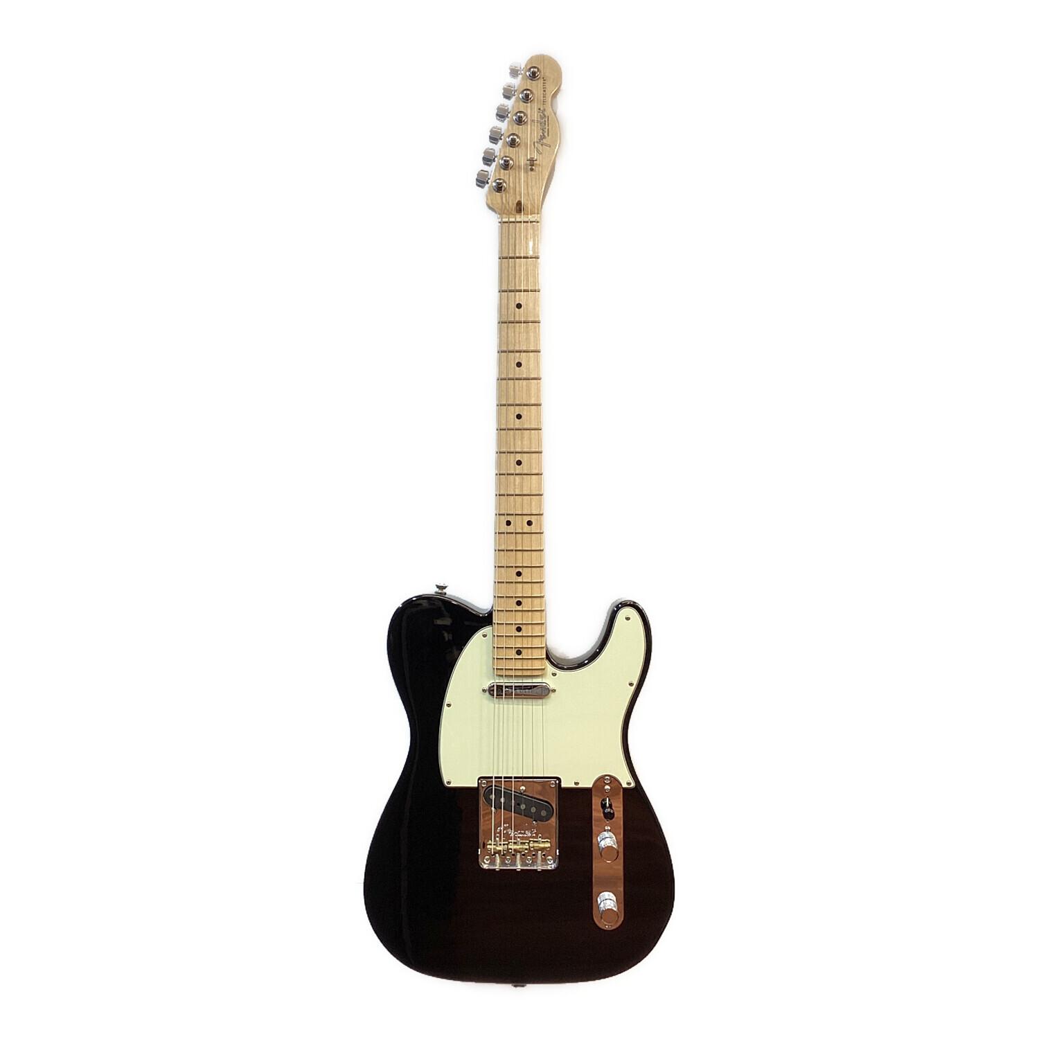 FENDER USA (フェンダー USA) 2019年製 American Professional